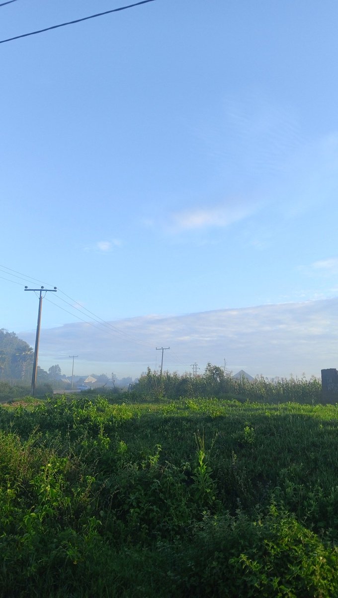 Pharmer (@king_enoch1) on Twitter photo 