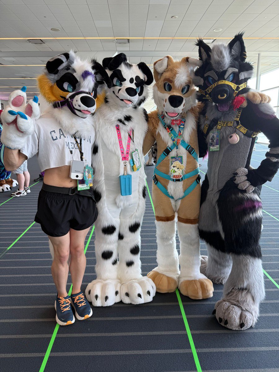 🐶🐶🐶🐺

📸: <a href="/foxeuphoria/">Avery | Finn of Dogtropolis</a> 
✂️:<a href="/WolfSkin_Studio/">•𝕎𝕠𝕝𝕗𝕊𝕜𝕚𝕟 𝕊𝕥𝕦𝕕𝕚𝕠s•</a> 
#FursuitsFriday