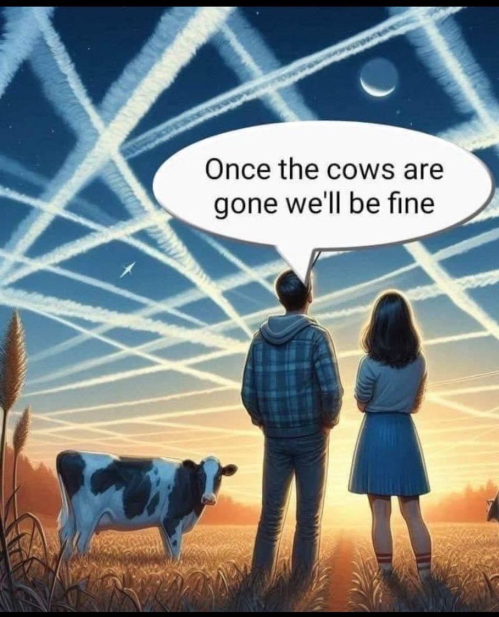 <a href="/WallStreetMav/">Wall Street Mav</a>