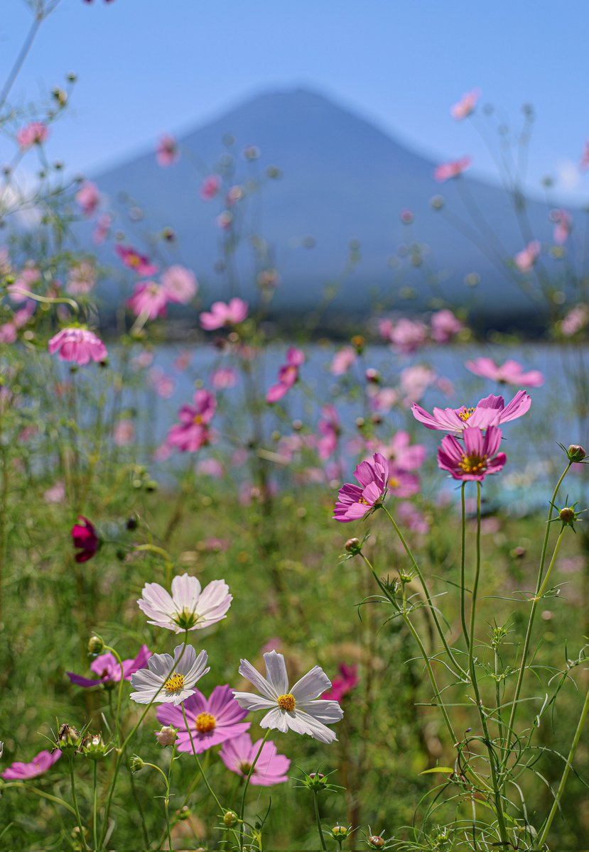 おはようございます😀💕💕