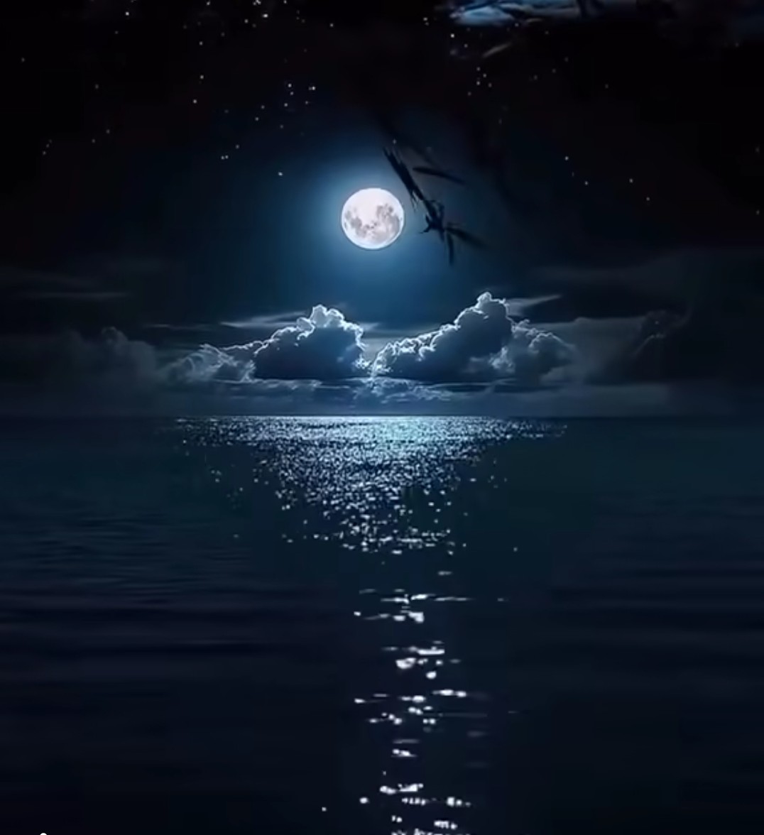 🕊

في هُدأةِ الليلِ، تختفي الأقنعةُ، وتتكلمُ القلوبُ بلغةِ الصمت، لا أحدَ يلامسُ أعماقَ ما يختلجُ في الصدر، إلا خفقاتُ الروحِ وحدها 

   💔🕊️.