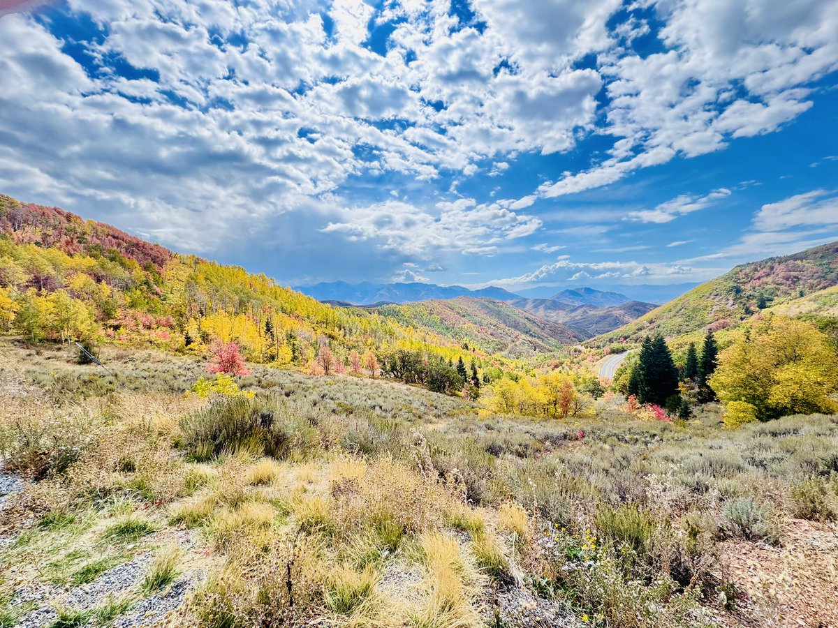 East Canyon showing those fall colors today!! #utwx