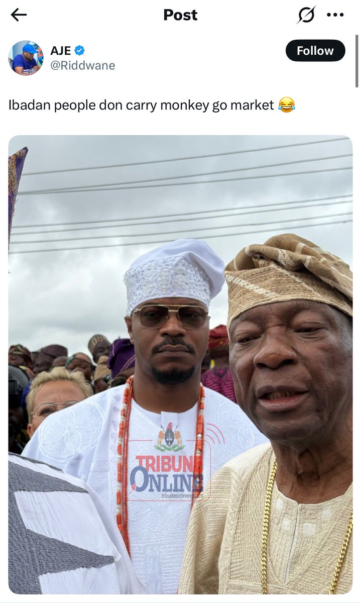 Harry Da Diegot tweet media