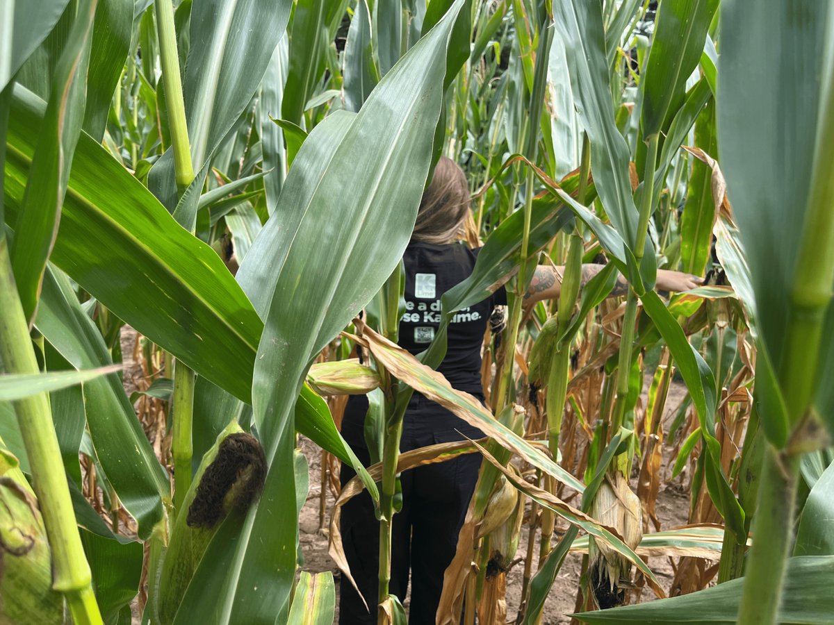 Agro-100 tweet media