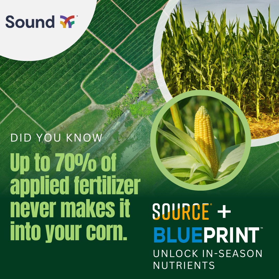 💸 70% of fertilizer never reaches corn. That’s money wasted.
🌽 SOURCE® + BLUEPRINT® put those nutrients back to work → protecting yield + cutting costs.

#Corn #AgTech #SustainableFarming #SoilHealth