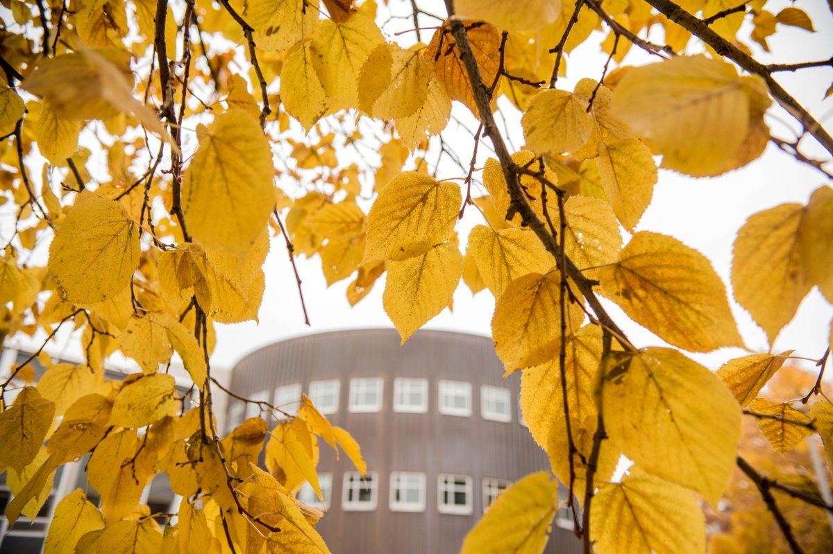 mtu_computing's tweet image. Listen. Learn. Hack. Win. The 2025 Computing[MTU] Showcase is on! Get details on the event, coming Oct. 1-3, at the latest College of Computing news blog. 

mtu.news/Ot2O50X36uz