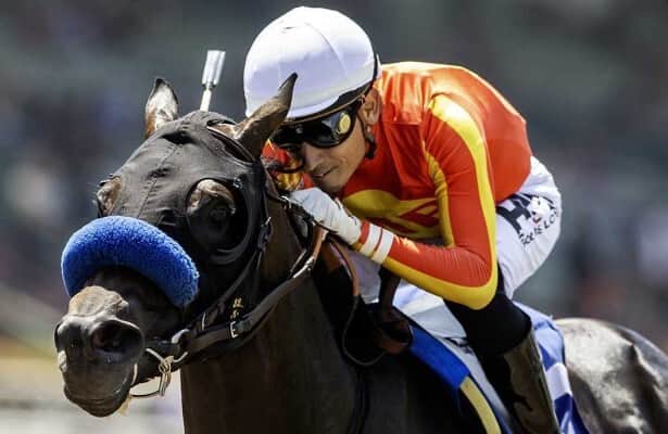 Gaming will be scratched from Goodwood Stakes, leaving Baffert with 2 runners in the <a href="/BreedersCup/">Breeders' Cup</a>  qualifier.

horseracingnation.com/news/Santa_Ani…

📸: Santa Anita / Benoit Photo
