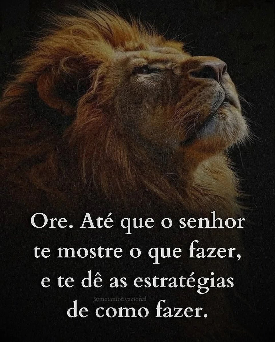 MariaNi27510367's tweet image. Olá boa noite! A PAZ 💚🌻🙏🕊
