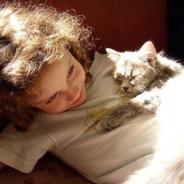 🪽 (@babysmelll) on Twitter photo 