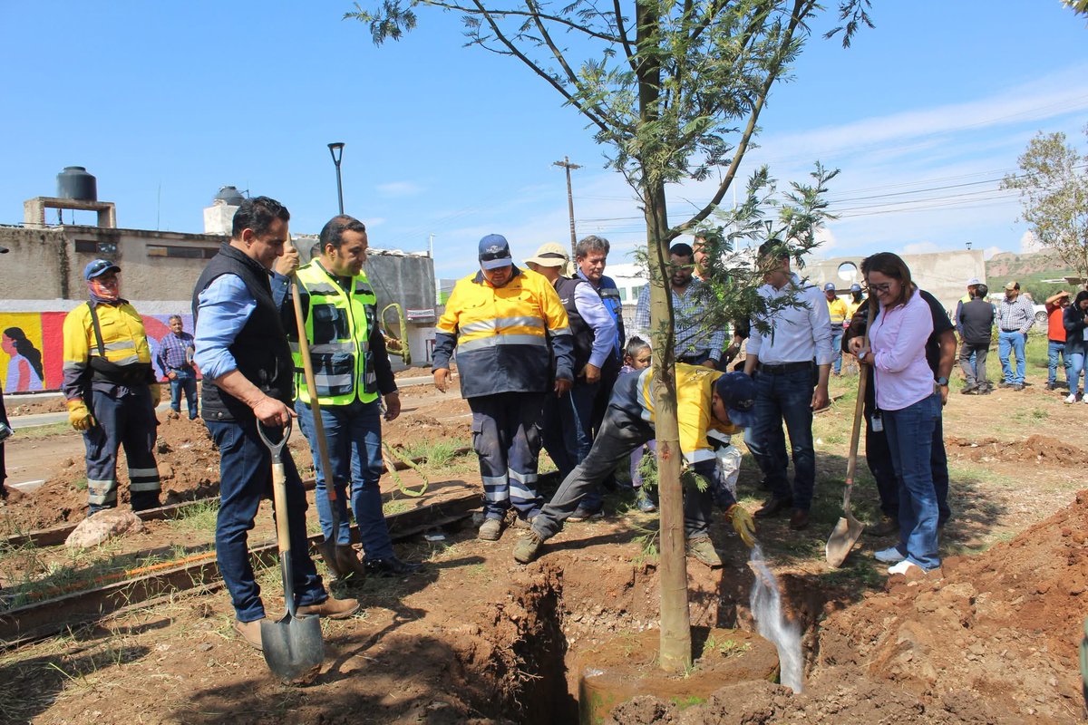🌳| ¡Arranca la plantación de árboles y vegetación en el Parque Lineal!

🌿Este espacio se convertirá en un nuevo pulmón para la zona, con espacios arbolados, para hacer deporte y convivencia de las familias, además de embellecer y dignificar el entorno en el que se encuentra.