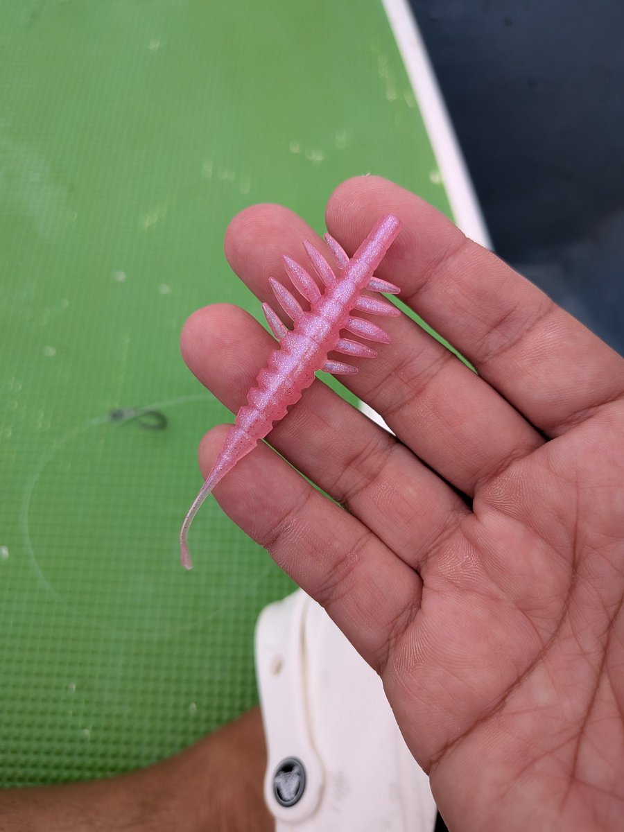 行ってきます！