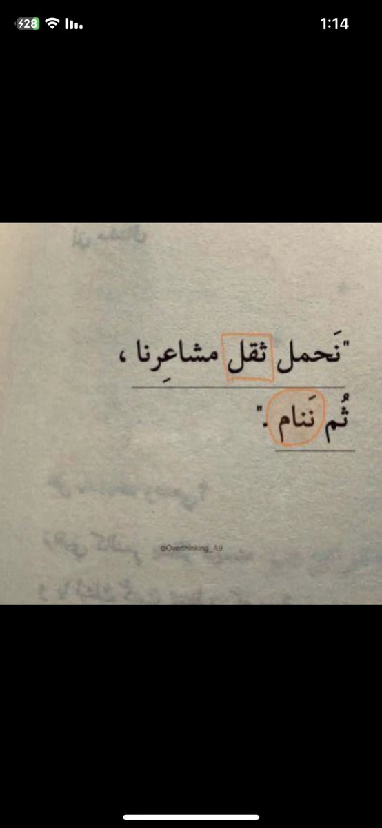 SULTAN (@sultanuae1993) on Twitter photo 