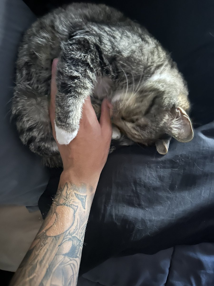 Mikelukex's tweet photo. https://t.co/0Ix349EAyN
