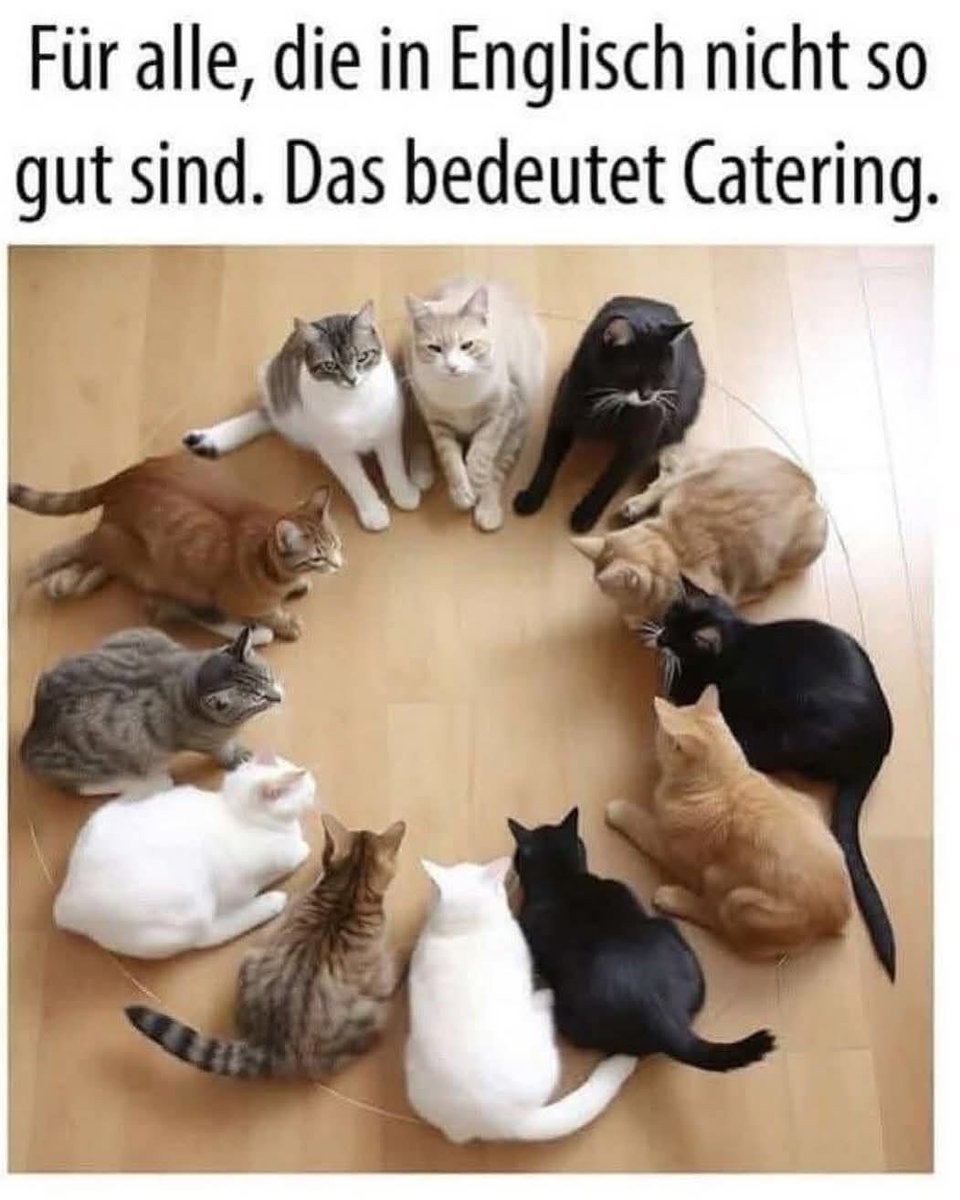 Mihokitzune Ceo of flauschigkeit (@mihokitzune) on Twitter photo 