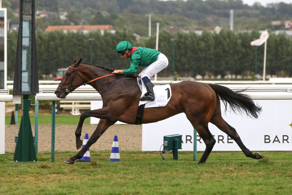 Who wins the G1 Preis von Europa on Sunday? 

🇩🇪 ALLENO 
🇩🇪 PATH OF SOLDIER 
🇬🇧 TIFFANY 
🇫🇷 SIBAYAN

#WorldPool | <a href="/wettstar_de/">Wettstar.de</a>