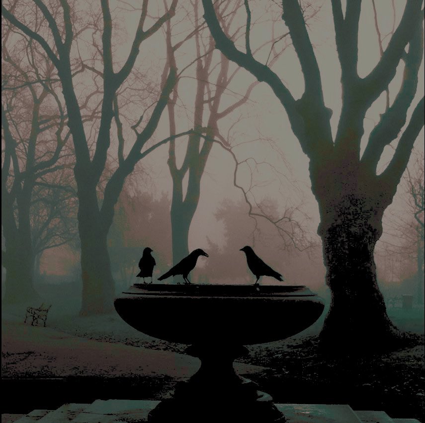 ˚ ‍𝒇𝐢𝐫𝐞 ‍𓂃 ‍𝒉𝐨𝐬𝐞. tweet media