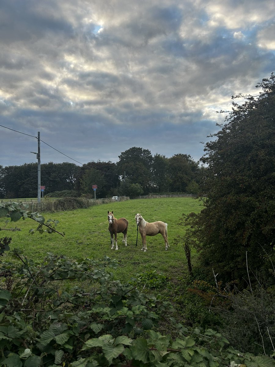 cami! ★ (@fortnitefemme) on Twitter photo 