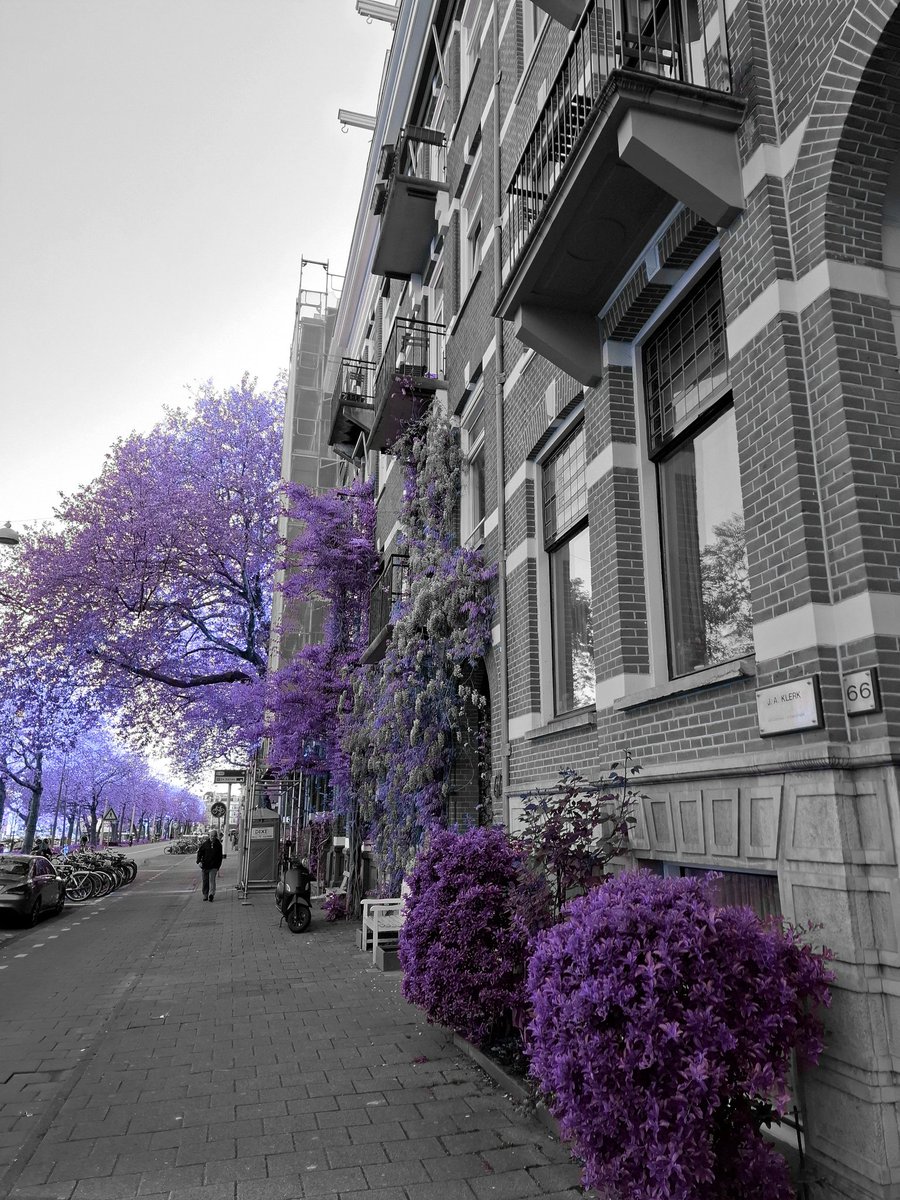 chriz31_07's tweet image. Photography is Art!

#photographyisart