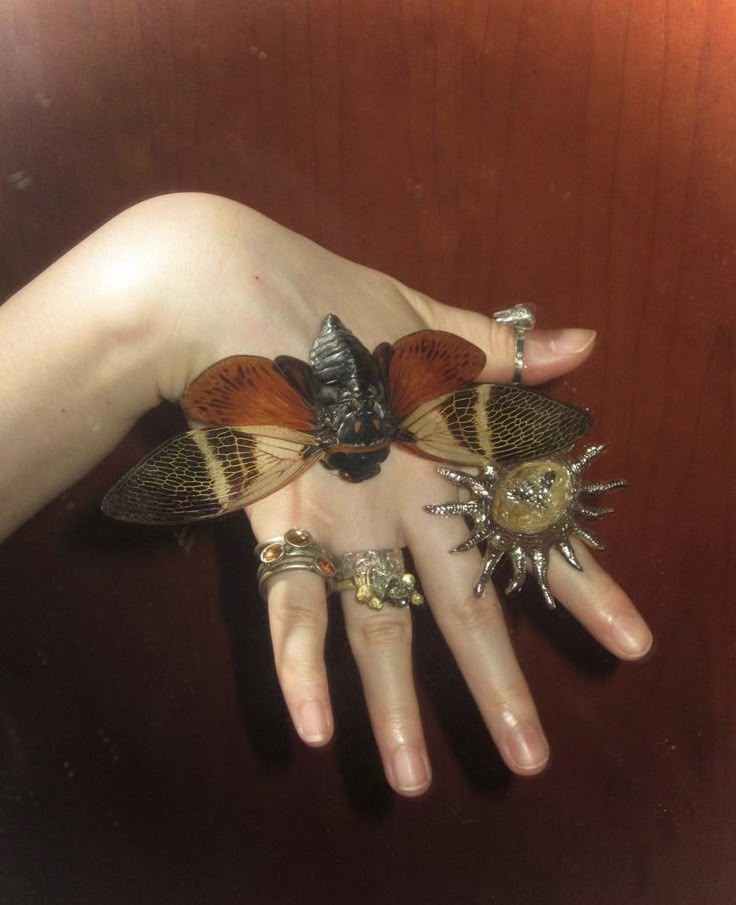 𐱃 (@swordandland) on Twitter photo 