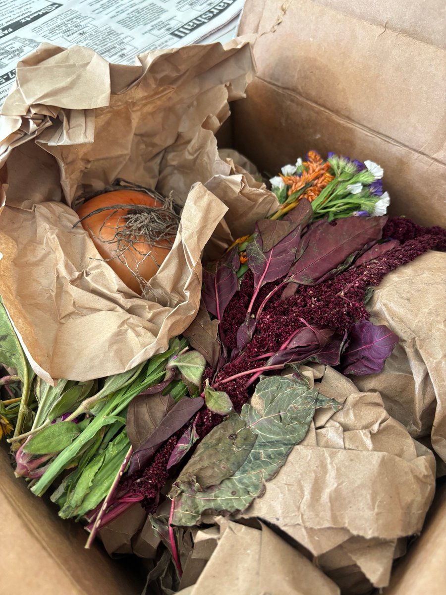 Alex Lemon tweet media