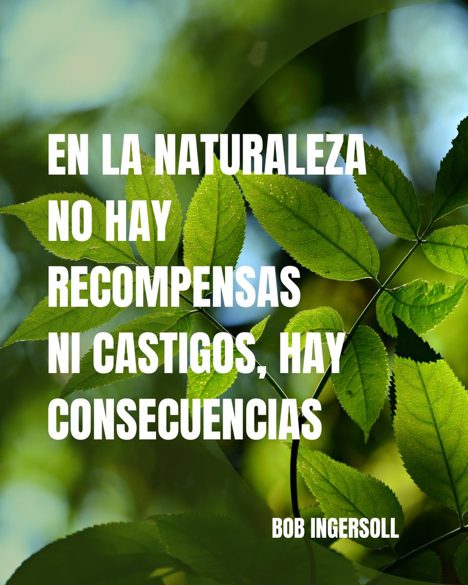 Todo lo que hacemos en el planeta tiene un impacto. Lo que sembramos hoy, lo cosecharán las próximas generaciones. Cuidar la Tierra no es un favor, es asegurar nuestra propia vida.