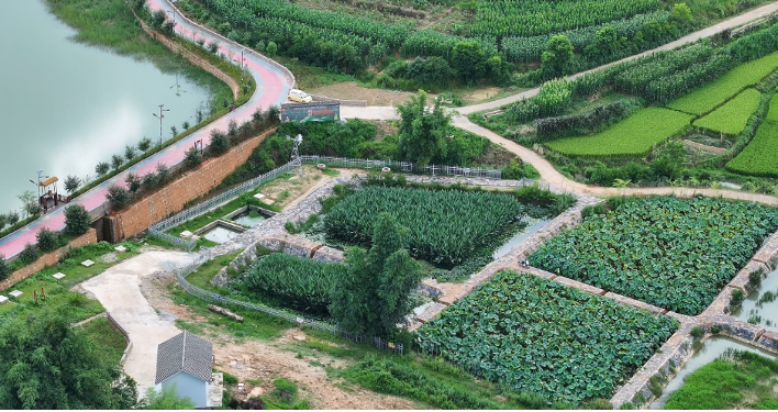 kanniwignaraja's tweet image. @UNDP dialogue with H.E Minister Wang
@MOFCOM_China on areas of collaboration that can further extend sustainable development results, locally and across developing countries. Working together to learn and extend support as countries move through their phases of development, has…