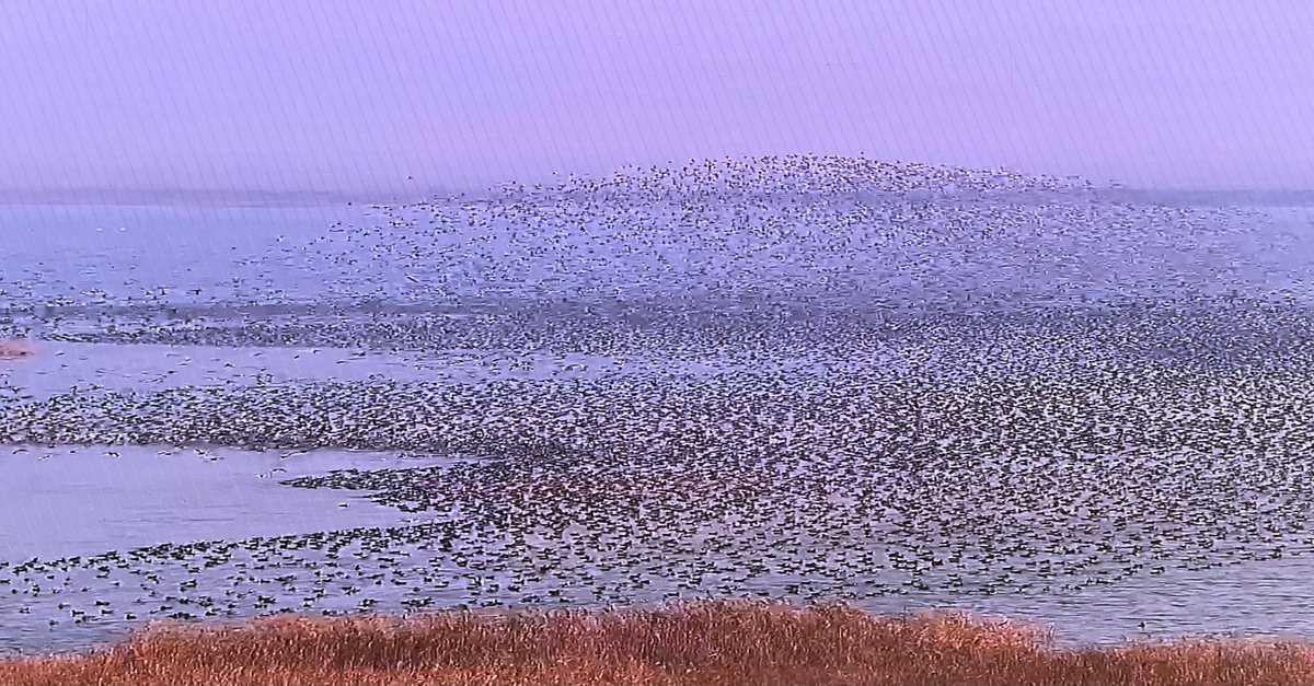 kanniwignaraja's tweet image. @UNDP dialogue with H.E Minister Wang
@MOFCOM_China on areas of collaboration that can further extend sustainable development results, locally and across developing countries. Working together to learn and extend support as countries move through their phases of development, has…