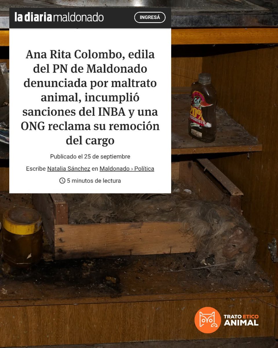 Ong Trato Ético Animal - Aptéha tweet media