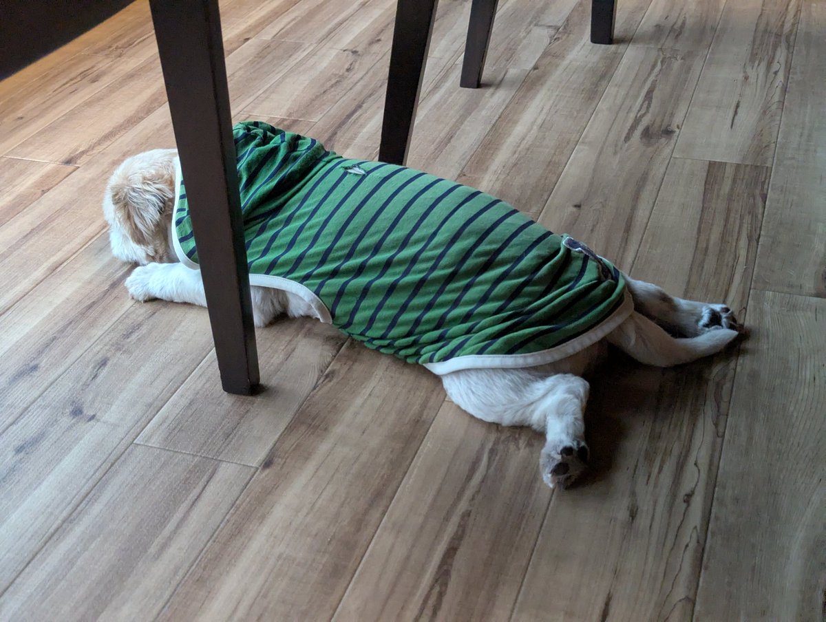 FXタソ⭐️ページです♥️ FXタソ⭐️ページです♥️ タケゾー@FX (@takezo_fx) / X