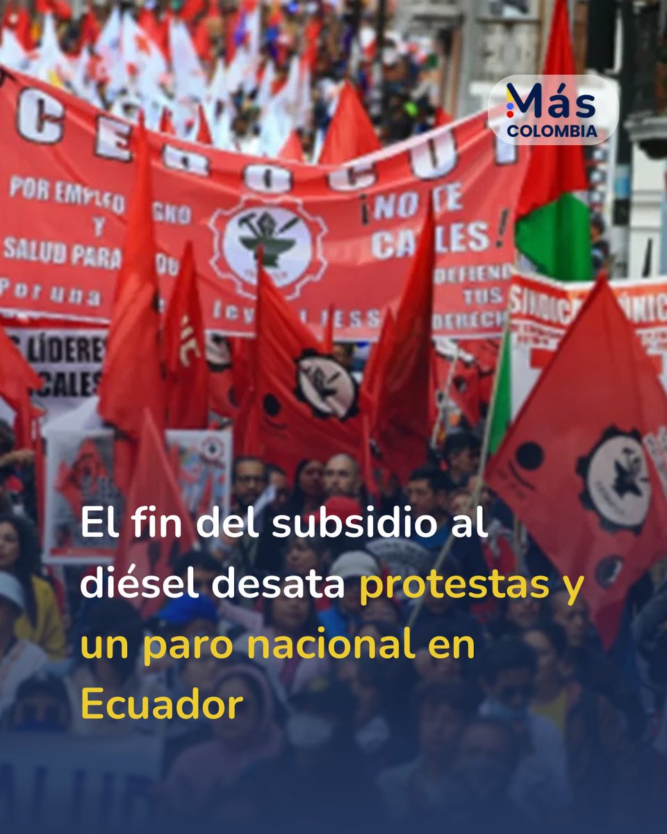 Paro nacional indefinido en #Ecuador tras la eliminación del subsidio al diésel decretada por el presidente <a href="/DanielNoboaOk/">Daniel Noboa Azin</a> . El galón pasó de $1,80 a $2,80, con la promesa de un ahorro fiscal de USD $1.100 millones en el marco de un programa del FMI.
mascolombia.com/protestas-en-e…