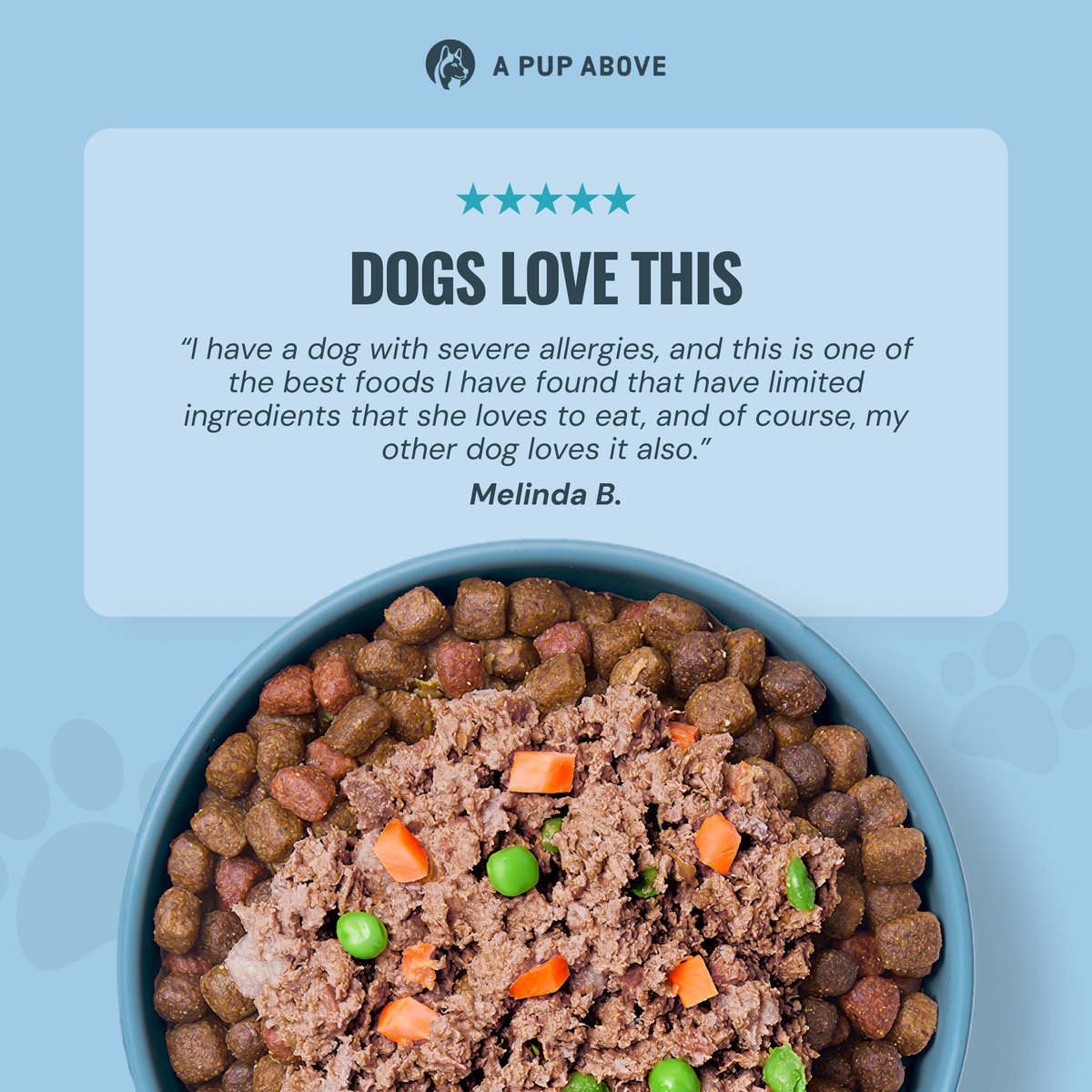Static ad mockups for a dog food brand :) 🐶