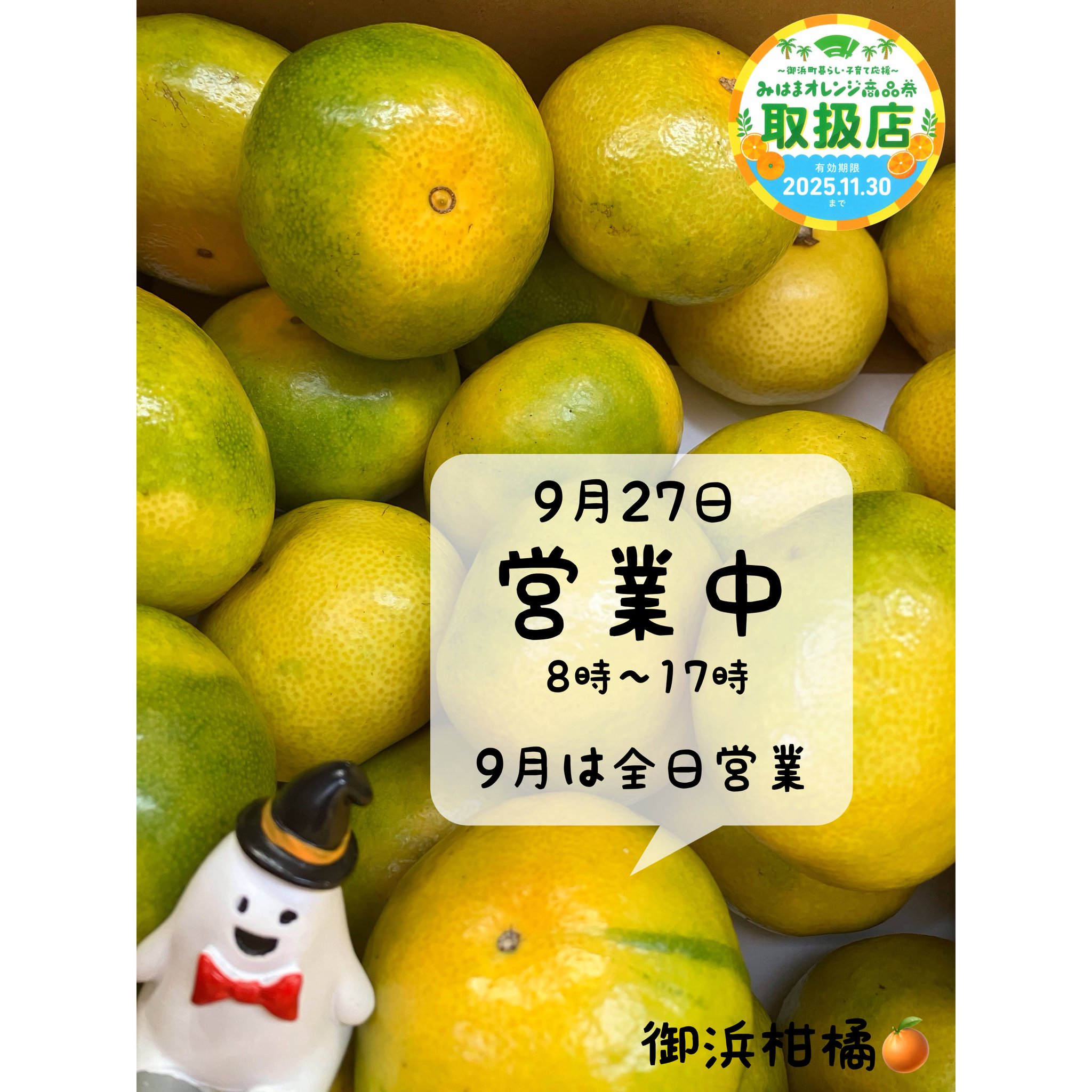 リピーター様みかん様御購入品☆ こだわりみかん”の御浜柑橘 on X: 