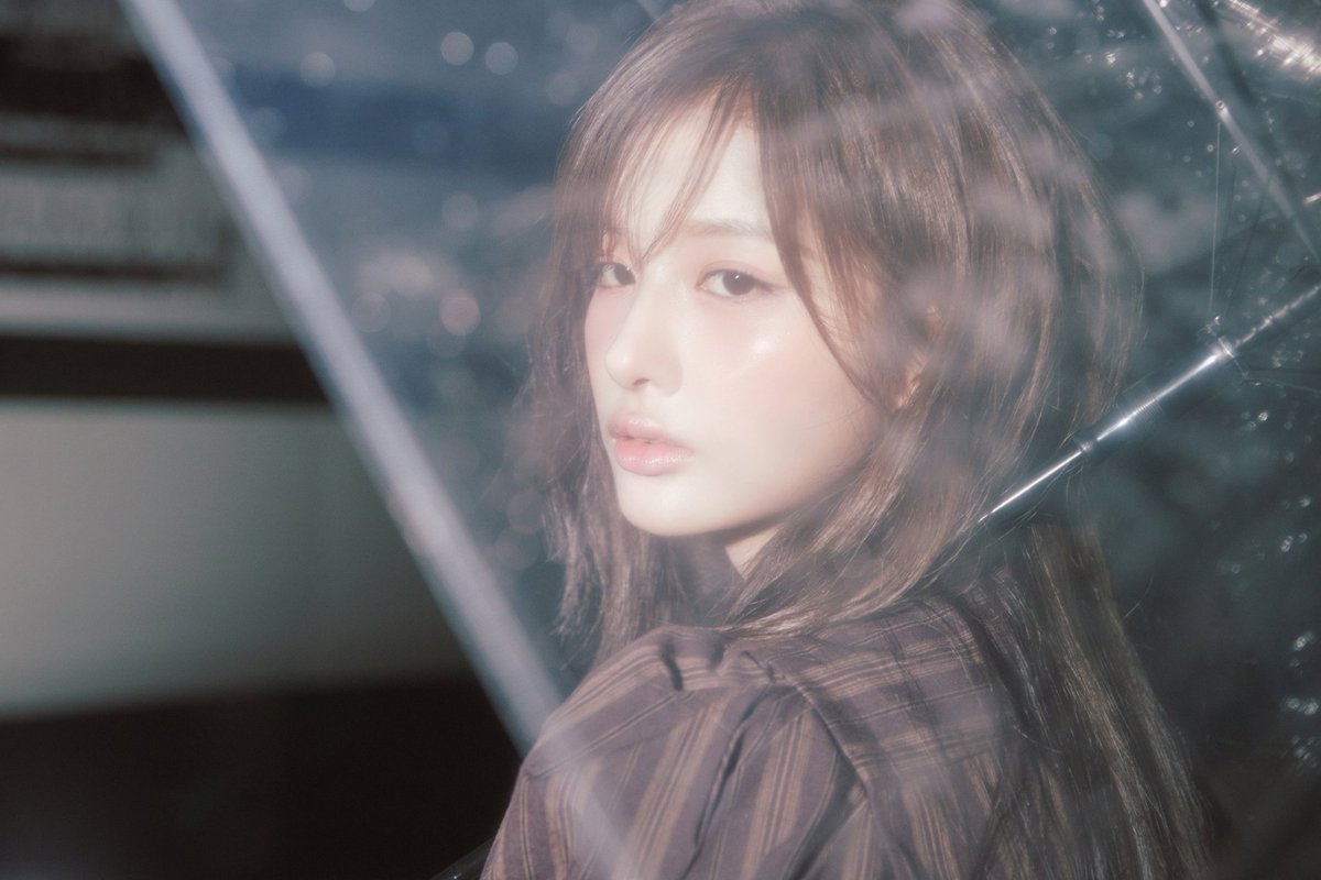 ˖ ࣪⊹ 𝘴𝘩𝘢𝑛𝘪𝘢. tweet media