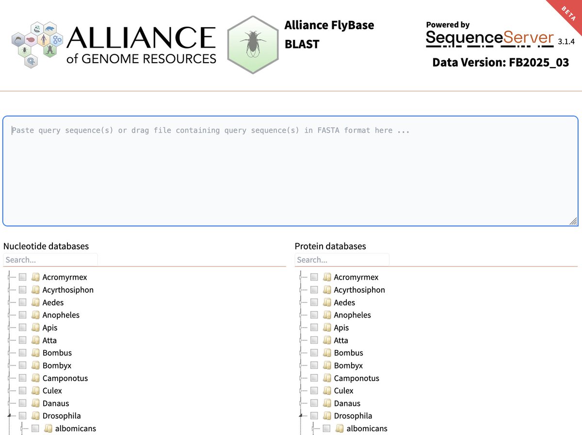 FlyBaseDotOrg's tweet image. You can now search FlyBase and WormBase sequence data using the Alliance of Genome Resources BLAST server: alliancegenome.org/blastservice The Fly interface allows searching against many arthopods, #FlyBaseTweetorial #BLAST
