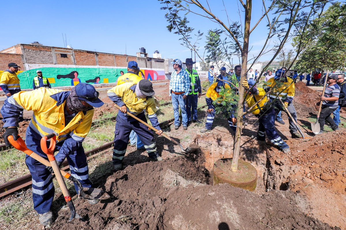 DurangoCap's tweet image. ¡Crece el Parque Lineal como un espacio verde y de convivencia familiar! 👥🌳
Sociedad y gobierno plantarán en este tramo 700 árboles, fortaleciendo la reforestación urbana y el cuidado del medio ambiente.
#DurangoEsElCamino 🐺