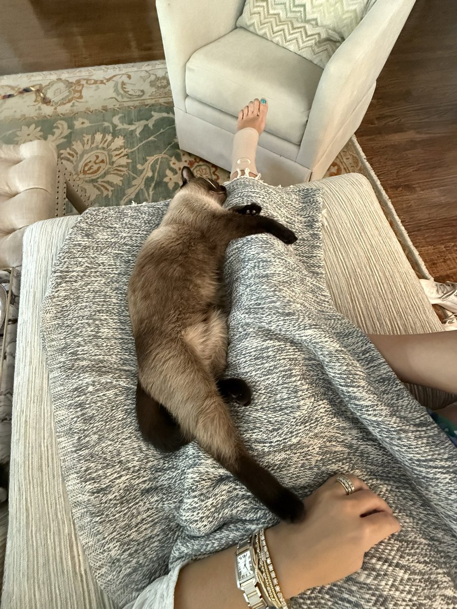inordqui's tweet photo. Not sure how, but I got one!! Queue went from 88 minute wait to 2 minutes so I assumed they were sold out, but somehow it went through! Maybe it was because Max was on my lap. He was my good luck charm. 
#TSTheLifeofaShowgirl @taylornation13 @taylorswift13 https://t.co/bqqwACPzC6