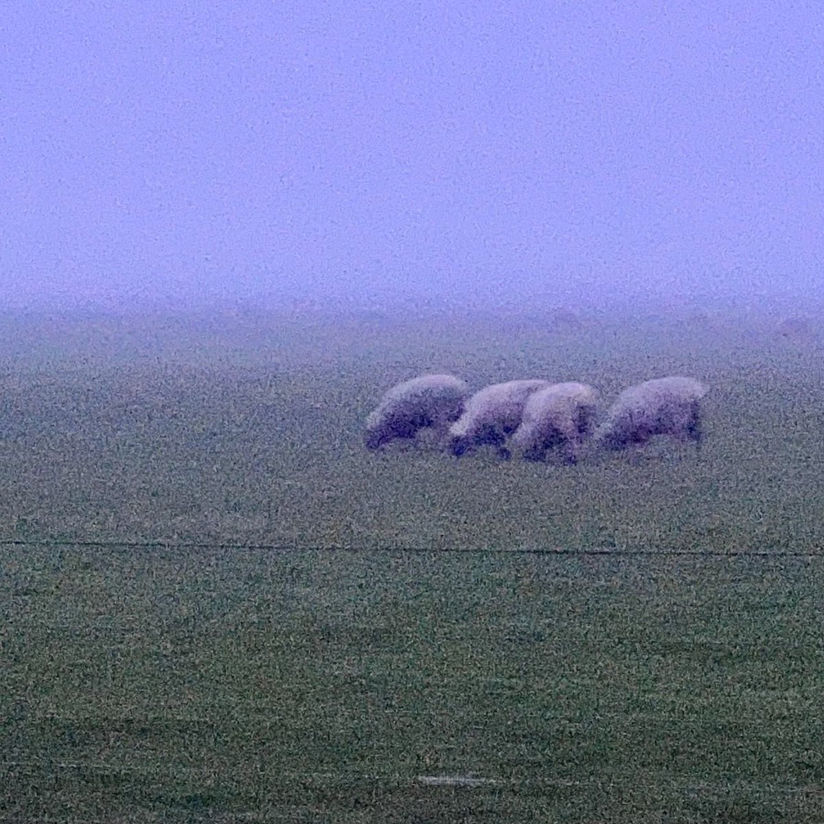 &gt; you are loved, you are safe _
had some time with my synths and samplers, decided to capture a particular deep feeling that has been hard to express with words

these 2 singles will be on all streaming services soon~
or get it now for free on my bandcamp:
endesga.bandcamp.com/album/you-are-…