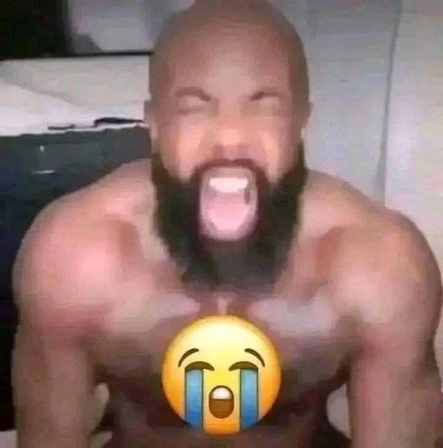 ꒰ meow .ᐟ.ᐟ tweet media