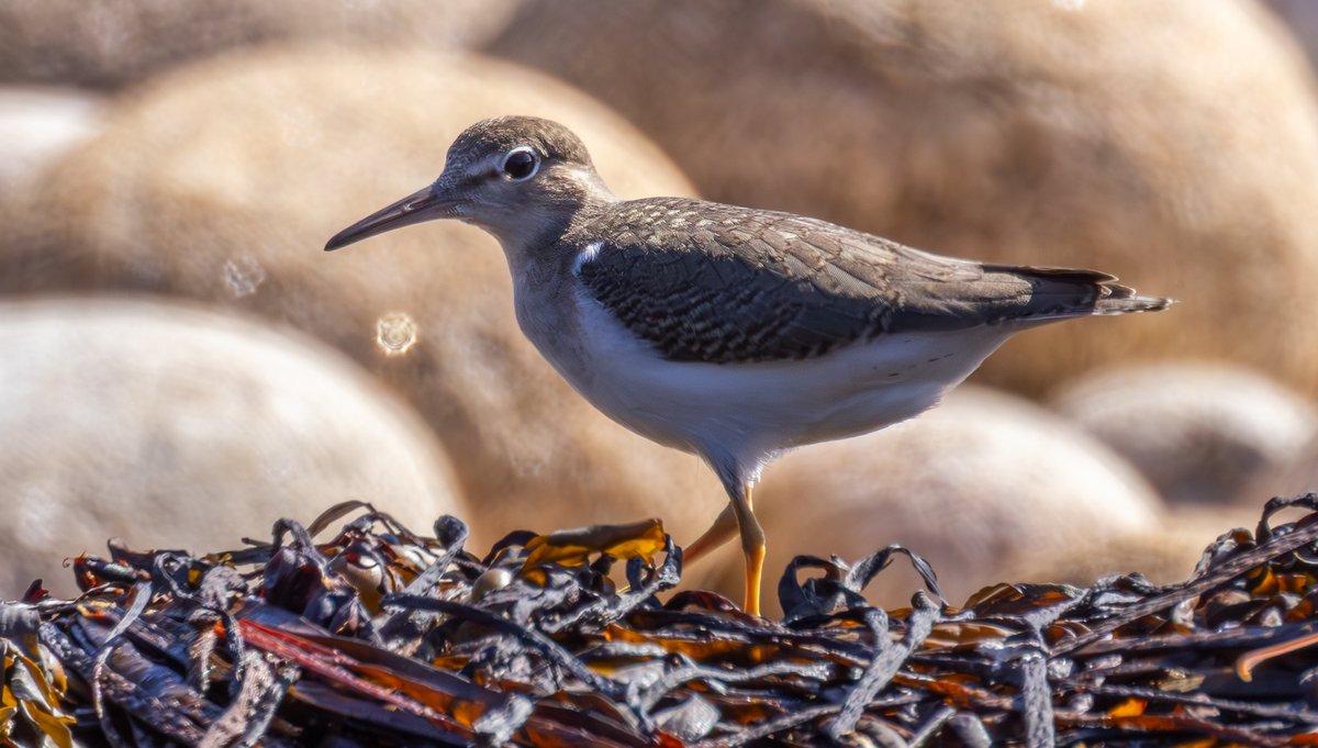 Peter Garrity tweet media