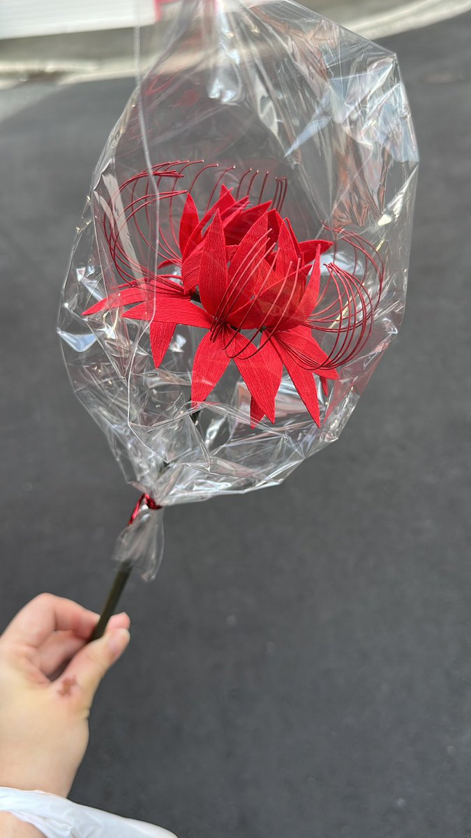 なんか伝わるかな、この昼と夕方で毒々しさ変わる感じが大変好きな彼岸花〜🫶
ちなみにばっか綺麗だから行った方がいいよ！いっぱい咲きすぎて写真撮るのムズ過ぎたww
あとおばちゃんお手製のかれない彼岸花買ってきたーー🥰🥰

毎日見れるのちょー嬉しい🎶弾丸帰宅で今日もまた仕事行ってきます🫡🫡