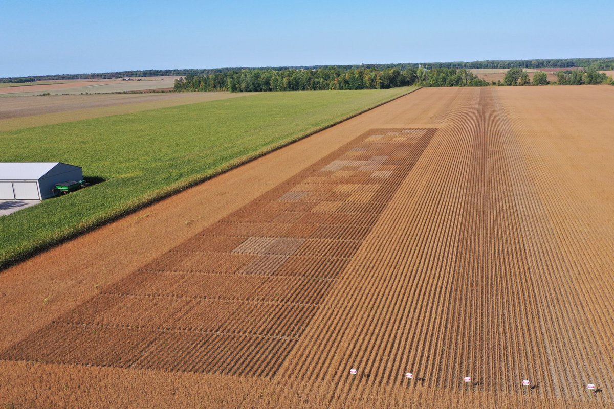 Chris Olbach (@chrisolbach) on Twitter photo 