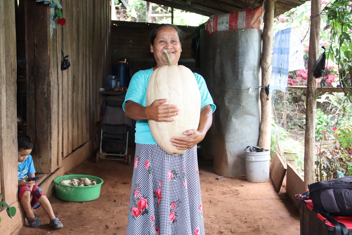Mujeres salvadoreñas liderando la #acciónclimática.
Con el apoyo del PNUD, promueven la igualdad en la implementación de las #NDC y contribuyen a un futuro sostenible en línea con el #AcuerdodeParís.
👉más: shorturl.at/wzRmj
#NDC  #Igualdad #50AñosPNUDSV