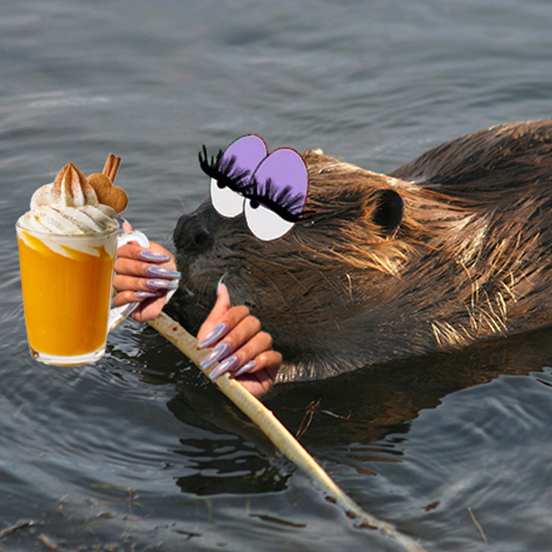 it's #PSL season and we are here for it!

We can't give you the ingredients to a pumpkin spice latte but we can give you the ingredients to a healthy watershed.

Follow the link for the recipe to have a healthy watershed:

cleanwaterservices.org/community-home…