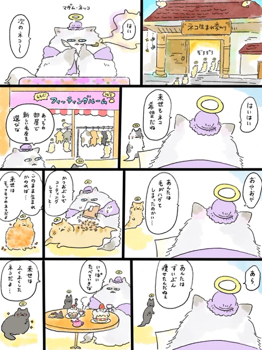 天国での暮らしはどうですか「ネコ生まれ変わり課 マダム・ネッコ」(1/2)

バタバタしておりなかなか描けない状況です…🙇‍♂️良かったら…再掲ですが見てね…😭😭😭 