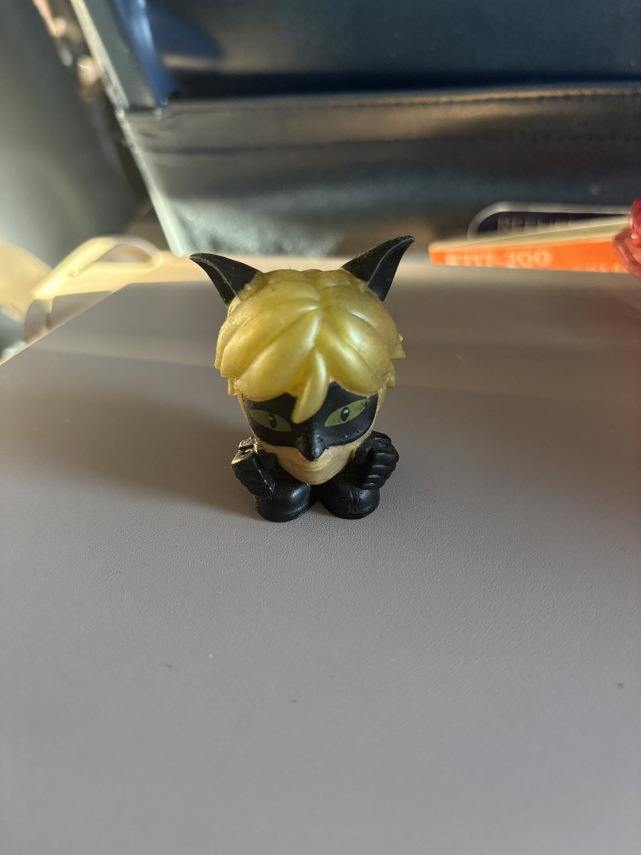 picturesofem's tweet image. cat noir has boarded his flight #readyfortakeoff