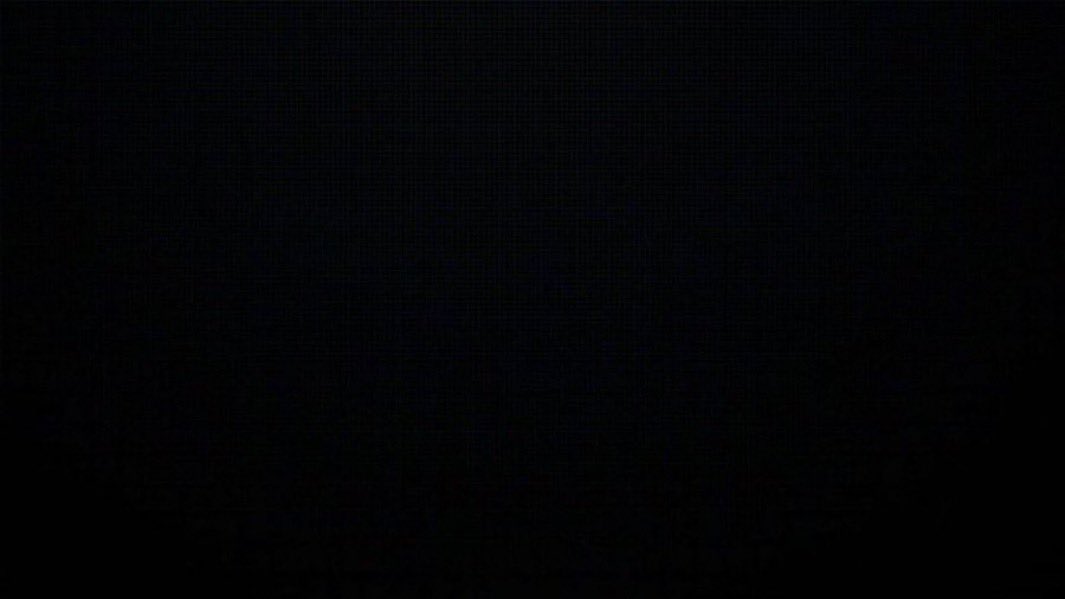 ﹄ 𝐇𝐎𝐍𝐄𝐘 𝐁𝐄𝐄﹃ tweet media