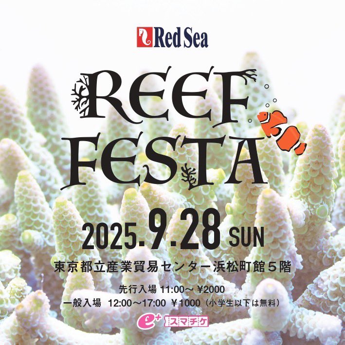 naonaogunsou's tweet image. おはようございます‼️
朝早く起きて水換え完了⤴️⤴️
今日のAQUAismと明日のREEFFESTAは公式撮影係としてYouTube撮影します😌✨️お会い出来た方はよろしくお願いします😆
私の動画はお客様は今も昔も基本的に一切写しませんが出演してみたいという方は是非声かけて下さい‼️
↓腕章してます