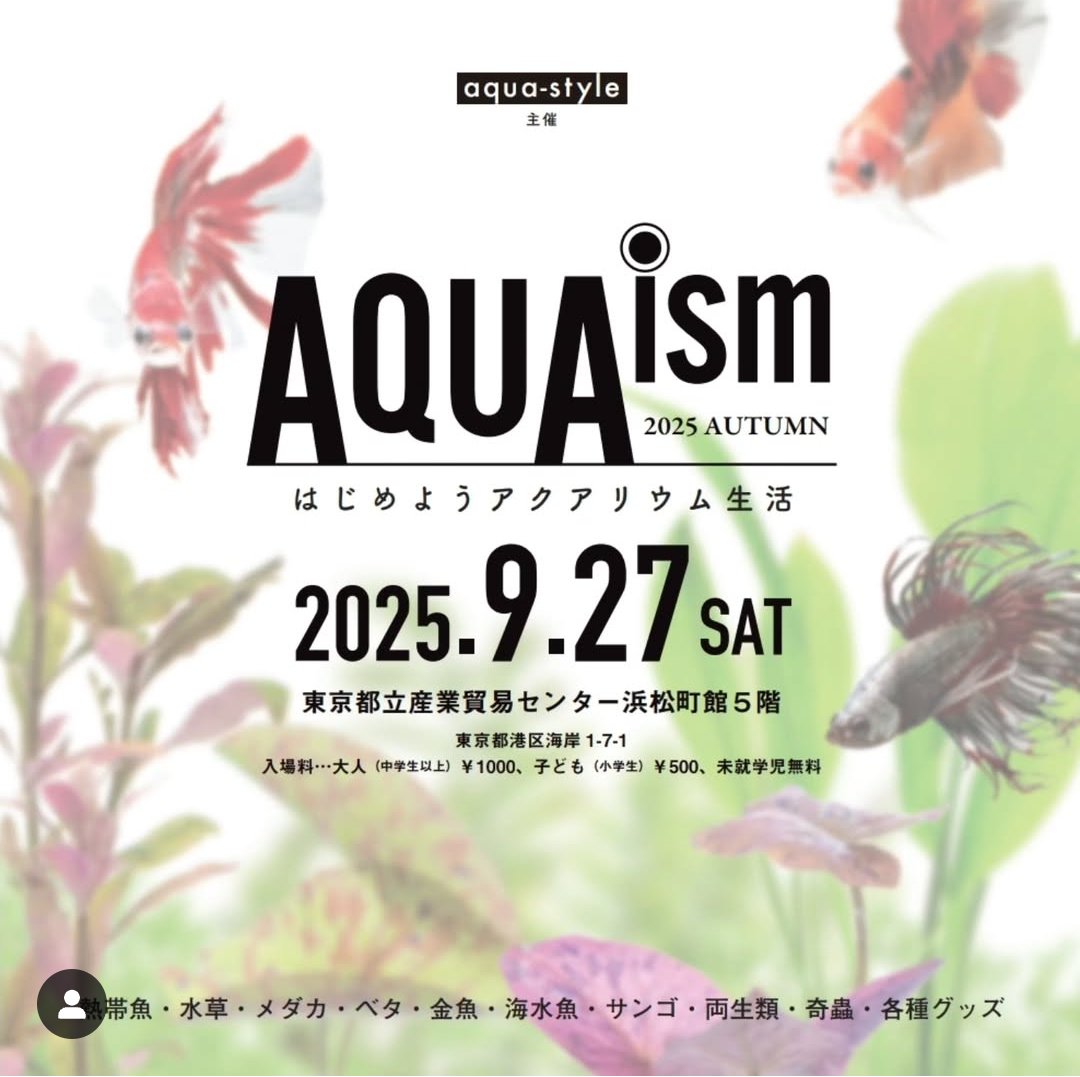 naonaogunsou's tweet image. おはようございます‼️
朝早く起きて水換え完了⤴️⤴️
今日のAQUAismと明日のREEFFESTAは公式撮影係としてYouTube撮影します😌✨️お会い出来た方はよろしくお願いします😆
私の動画はお客様は今も昔も基本的に一切写しませんが出演してみたいという方は是非声かけて下さい‼️
↓腕章してます