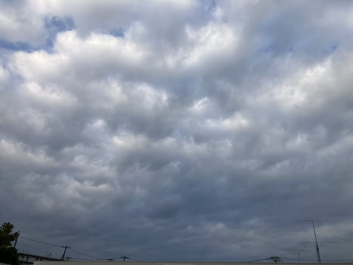 おはようございます。
青空がちらつく曇りぞら。
ちょっと暑いです。
今日も仕事。
頑張ります。
 #イマソラ