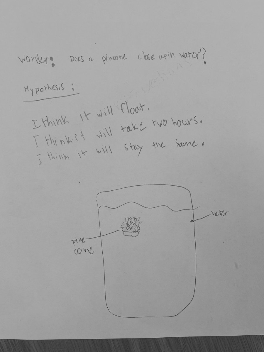 burnsmelissa1's tweet image. Looking for an easy fall science experiment? 🍁
A student asked: Will a pine cone close in water?
We made a hypothesis, observed, and got curious:
What’s inside a pine cone?
Will it reopen when dry?
Simple. Engaging. Full of wonder. 
#STEM #FallScience #sd38learn